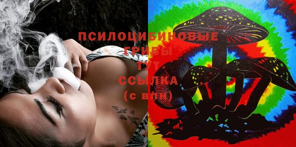 2c-b Осташков