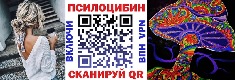 Купить  Сортавала  Псилоцибиновые грибы MAGIC MUSHROOMS 